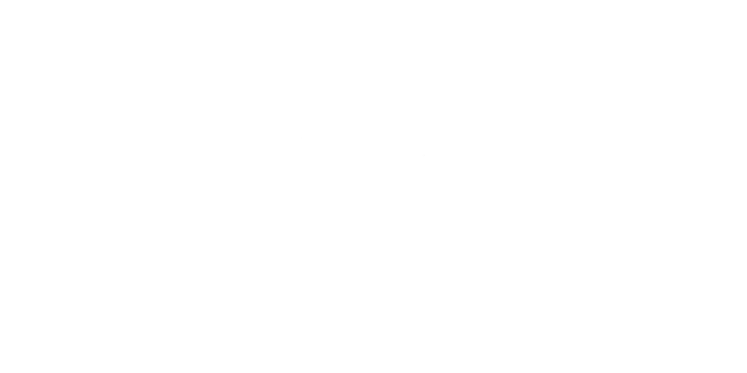 Rallye-Meister_Logo-SZ2-weiß